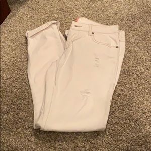 CAbi slim boyfriend destructive